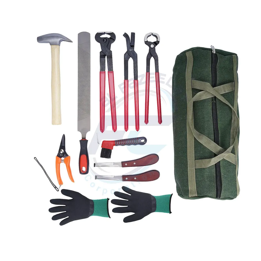 Professional High Quality Horse Farrier Tools Kit Wholesale Price Veterinary Surgical Instruments