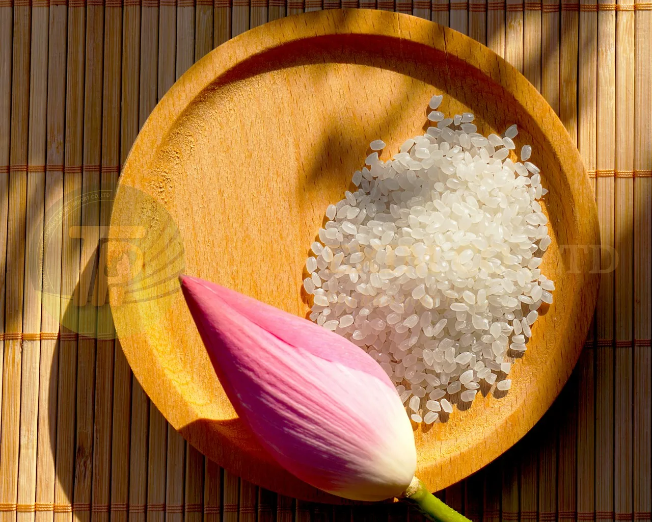 Japonica Rice Japan Sushi Short Grain Round Rice Cheap Price Camolino Calrose Japonica Rice Export 25kg Bag