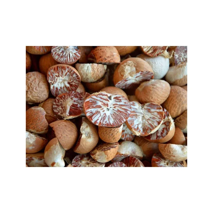 New Betel Nut Dried Supari In Hot Sale With High Quality Newly Crop Betel Nuts