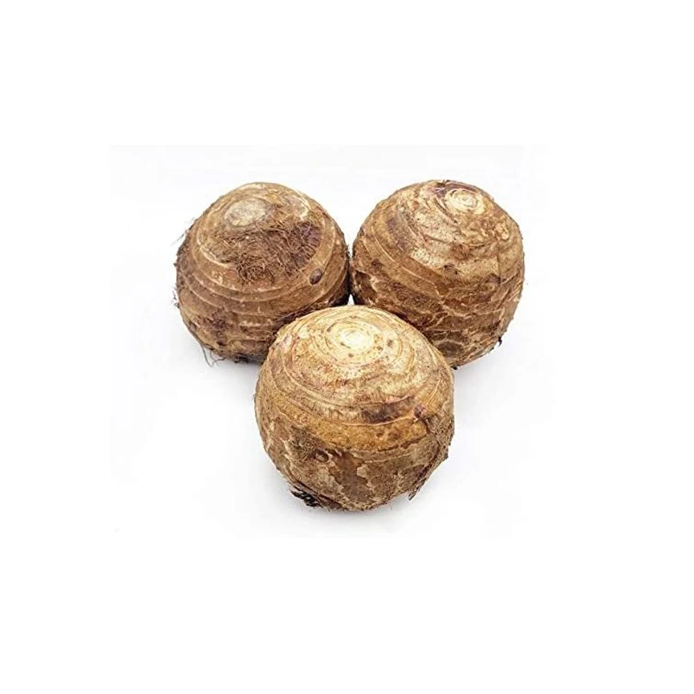 HOT SALE PRODUCT!!! FRESH TARO FROM VIETNAM WITH COMPETITIVE PRICE AND HIGH QUALITY EXPORT