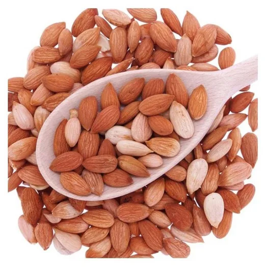 Wholesale Best price High impact Bitter Apricots Kernels OEM services Bitter Apricots Kernels Factory rate in Hot price