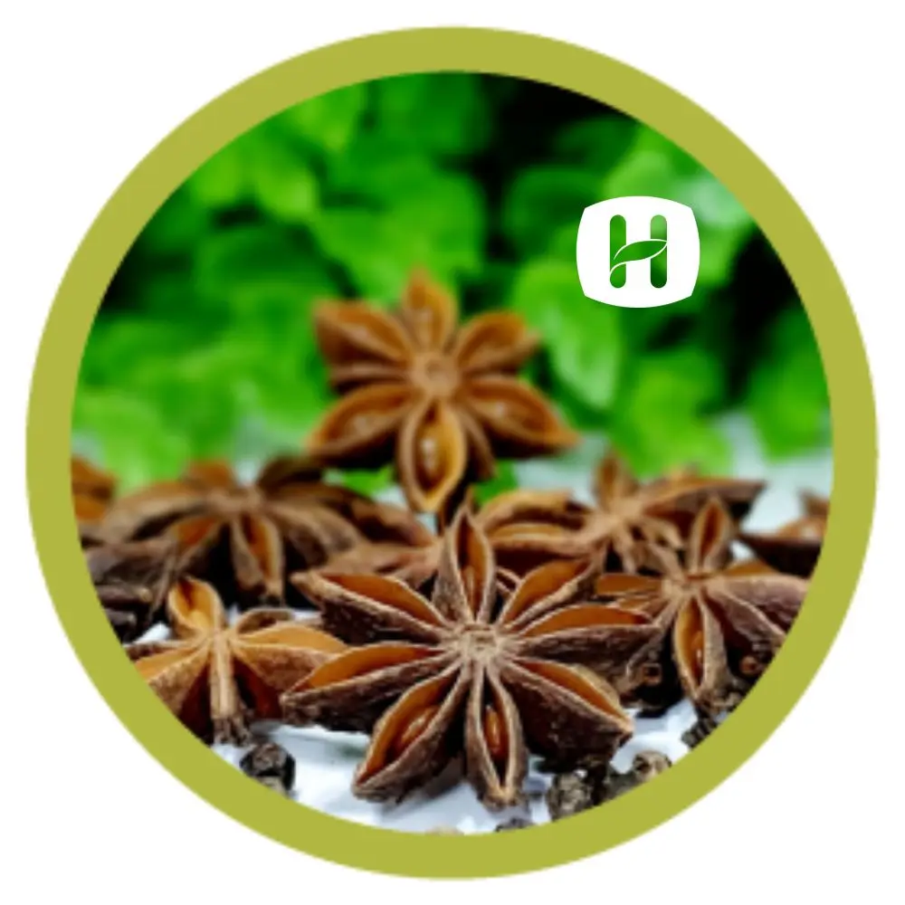 Star Anise Vietnam herbs and spices Wholesale Best high quality Price factory Hanfimex natural forest Vetnam Origin hot seller