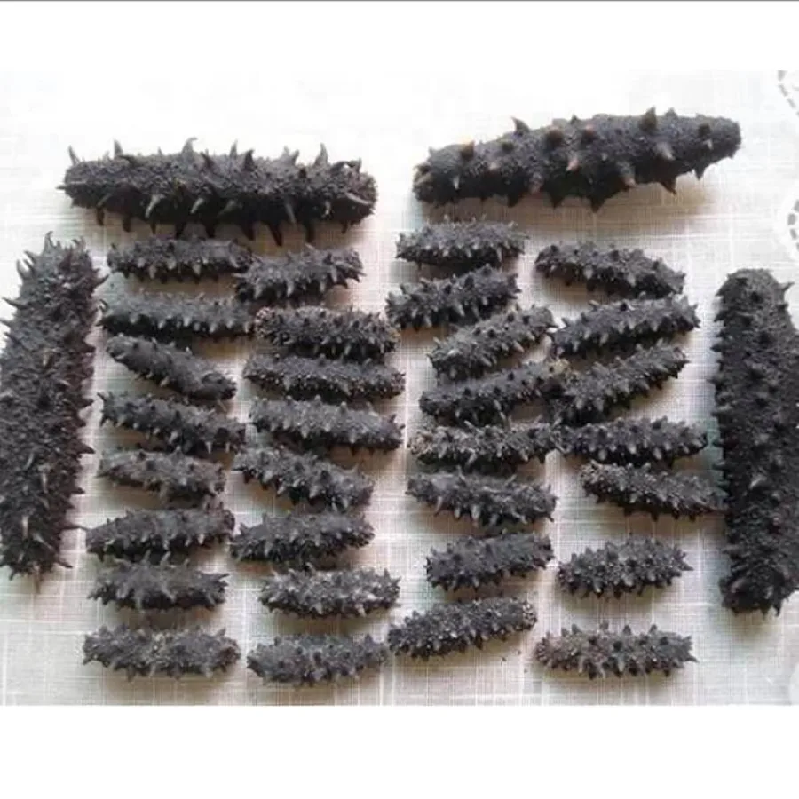 Top Quality Pure Dried Sea Cucumber (Seafood)For Sale at Cheapest Wholesale Price