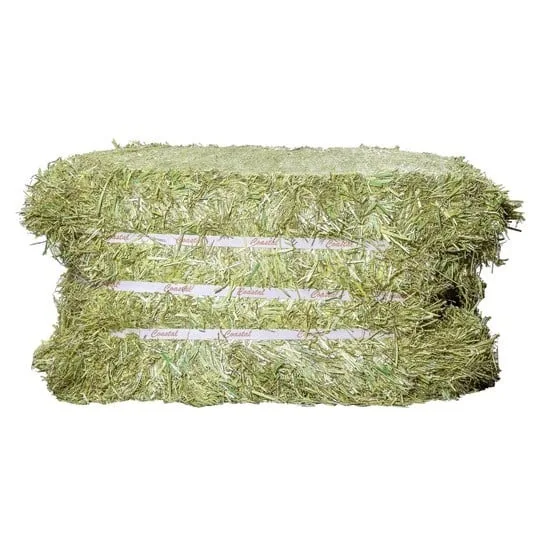 Cheapest Alfalfa Hay and Timothy Hay Bulk Supply | Premium quality Alfalfa and Timothy Hay Bulk Sales