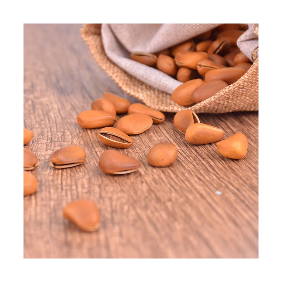Wholesale Custom Private Label Food Grade Dried Product 50kg Bags 25tons 15days Pecan Nuts Halves