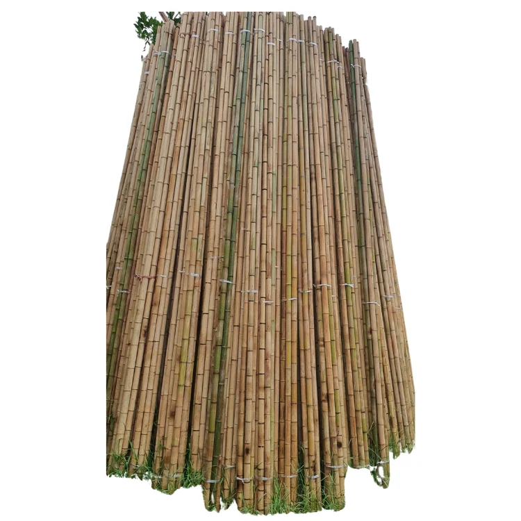 Cane Bamboo Pole for Plant Raw Materials Bamboo Sale Viet FOA Flower Hot Time Garden Support Feature Origin Cutting