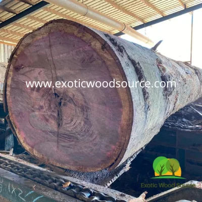 Круглые бревна Purpleheart Peltogyne spp Amarante Pau roxo Amaranth Bois фиолетовые экологически чистые бразильские ореховые бревна, поставщик лиственных пород