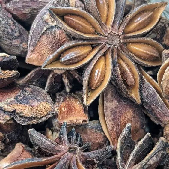 BULK PACKING STAR ANISEED DRIED FOOD FLAVOR RAW SINGLE SPICES SEED for SEASONING VIETNAM