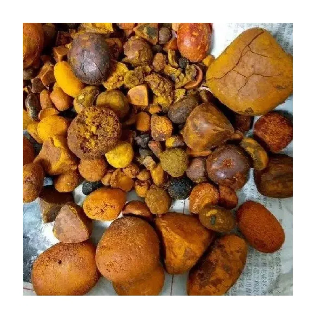 Premium Quality Ox Gallstones Sourced from Cattle Top-Grade Cow Gallstones for Traditional Medicine
