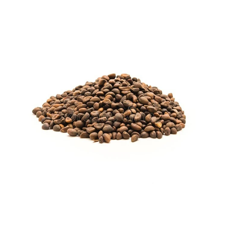 Hot Sale single row maize cabbage bean spinach seeds