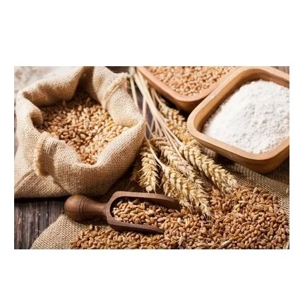 Hot Selling Price Of Organic Whole Wheat Grains In Bulk Quantity