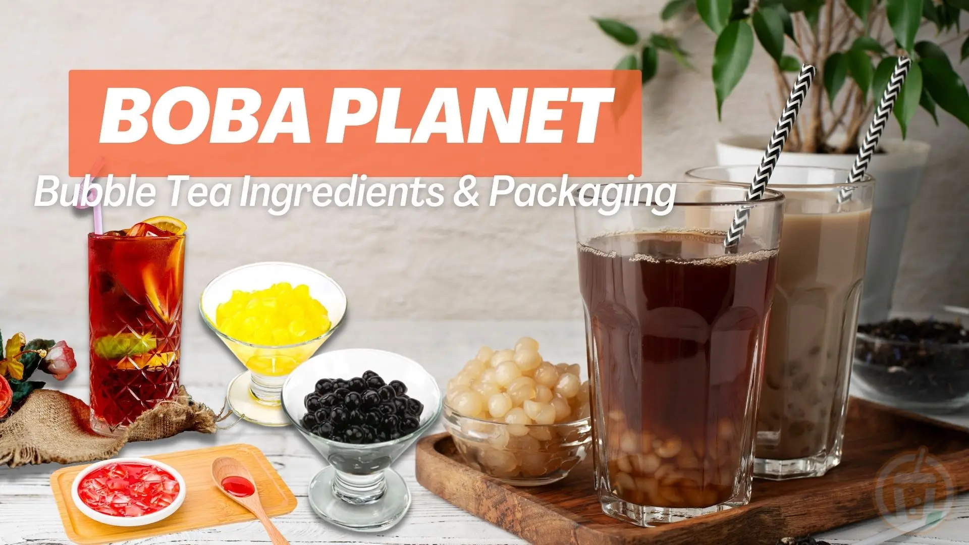 company profile (1).jpg