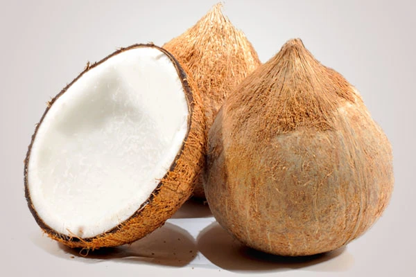 Vietnam semi husk dried coconut/ Mature Coconut Nut/Fully husk Coconut cheap price - Ms Kathy