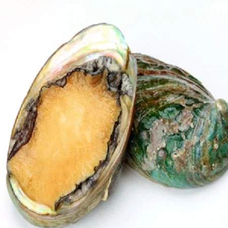 Different Specification of Dried Abalone available