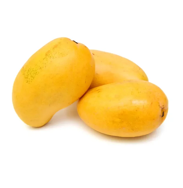 Mango Fresh Yellow and Green Delicious Taste Premium Quality With Customized Packaging Logo Discounted Price