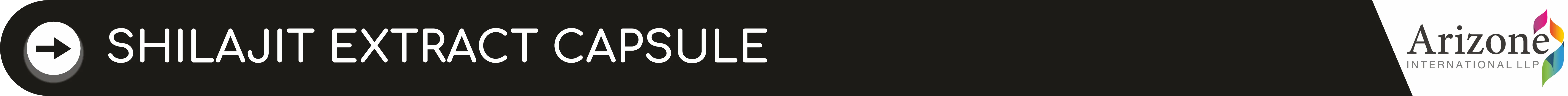 SHILAJIT EXTRACT CAPSULE.png
