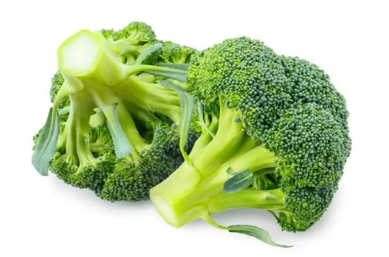 Direct Factory Wholesale Cheap Price Fresh Place Model Maturity Cultivation Broccoli Frozen Vegetable Broccoli From Bangladesh