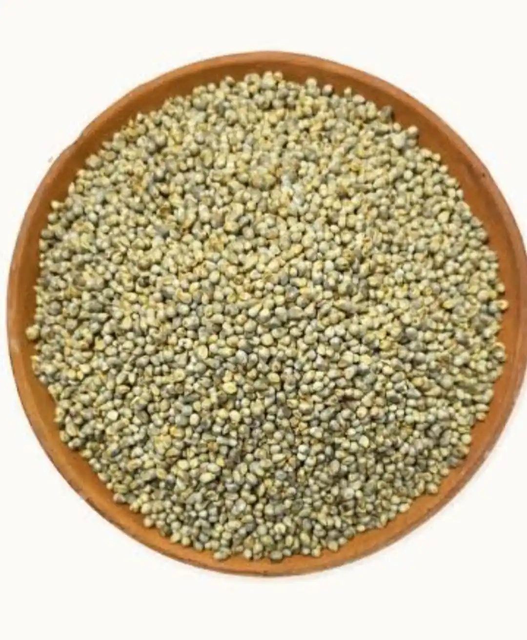 Green millet for animal feed in High quality ready for export from India