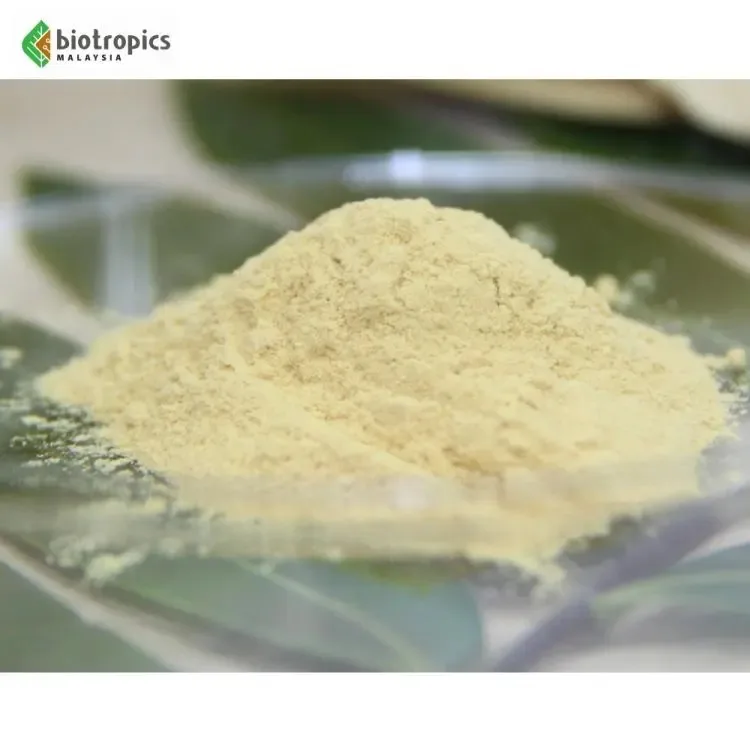 New Ingredient Herbal Plant Malaysia Tongkat Ali Root Extract Powder Eurycoma Longifolia for Food and Drinks