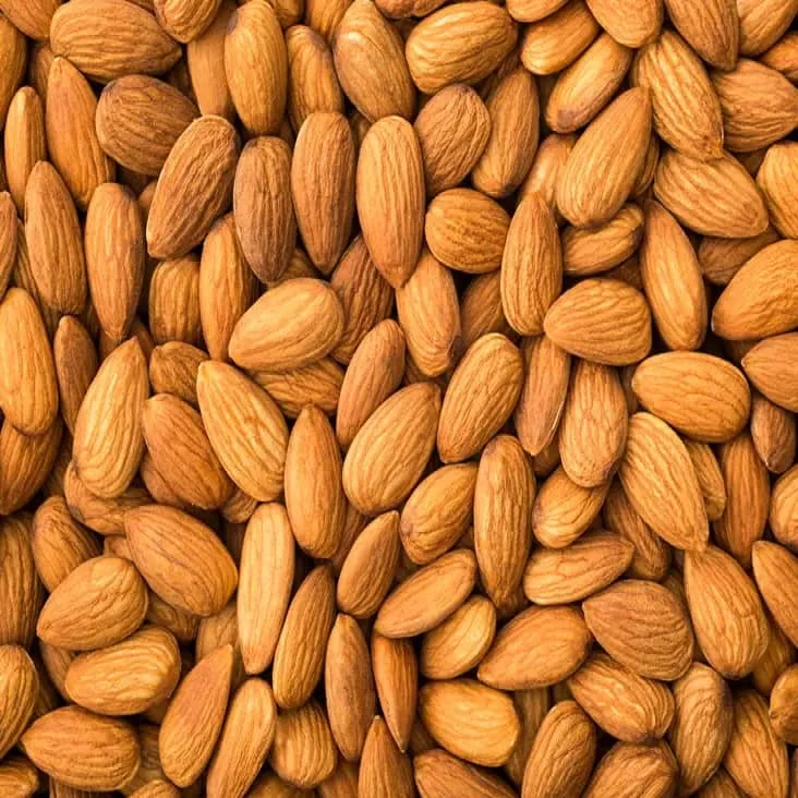 Excellent Price California Almond Nuts Kernels Wholesale Almond for wholesale prices