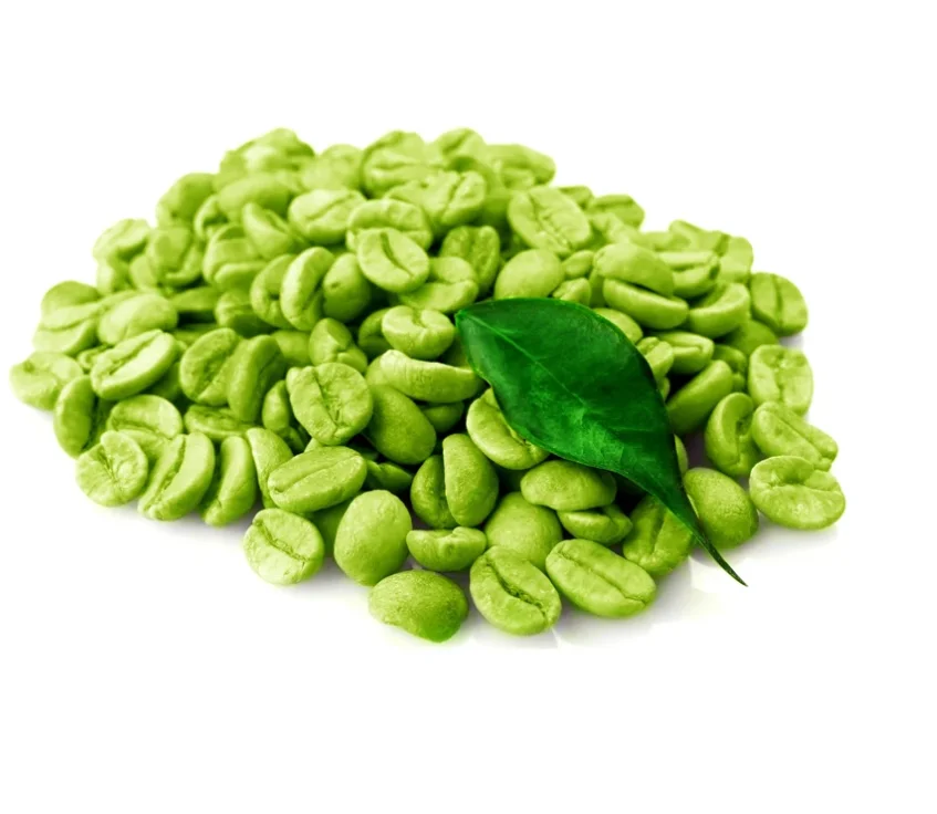 Coffee planting base supply OEM green coffee beans arabica / robusta beans arabica Washed coffee beans