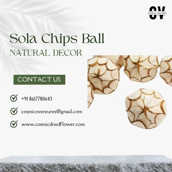 Popular Premium Quality Sola Chips Ball for Wedding Home Office Event & Dried Flower Arrangement