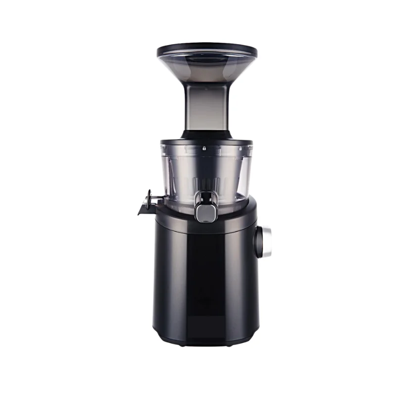 BIGSALE Slow Juicer Stylish Design, Slow Squeeze Technology - Masticating Juicers for Fresh, Pure Juice