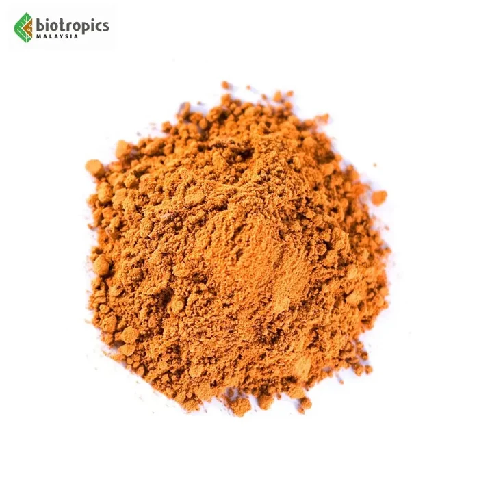 Food Grade Water Pepper Leaf Extract Kesum Ingredients Powder Culinary Use Herbal Extract or Supplement