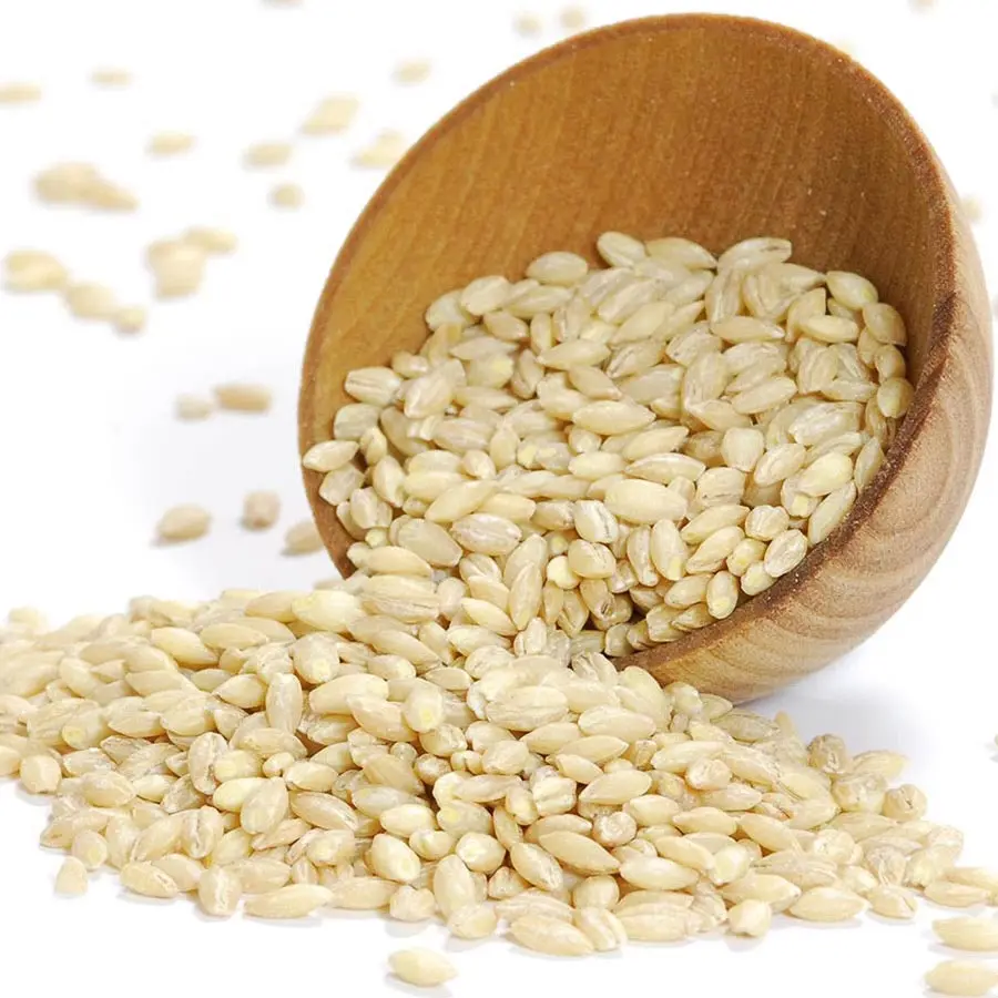 Best Quality custom made  barley wholesale factory price manufacturers   100% high quality barley 25/35 kg bags