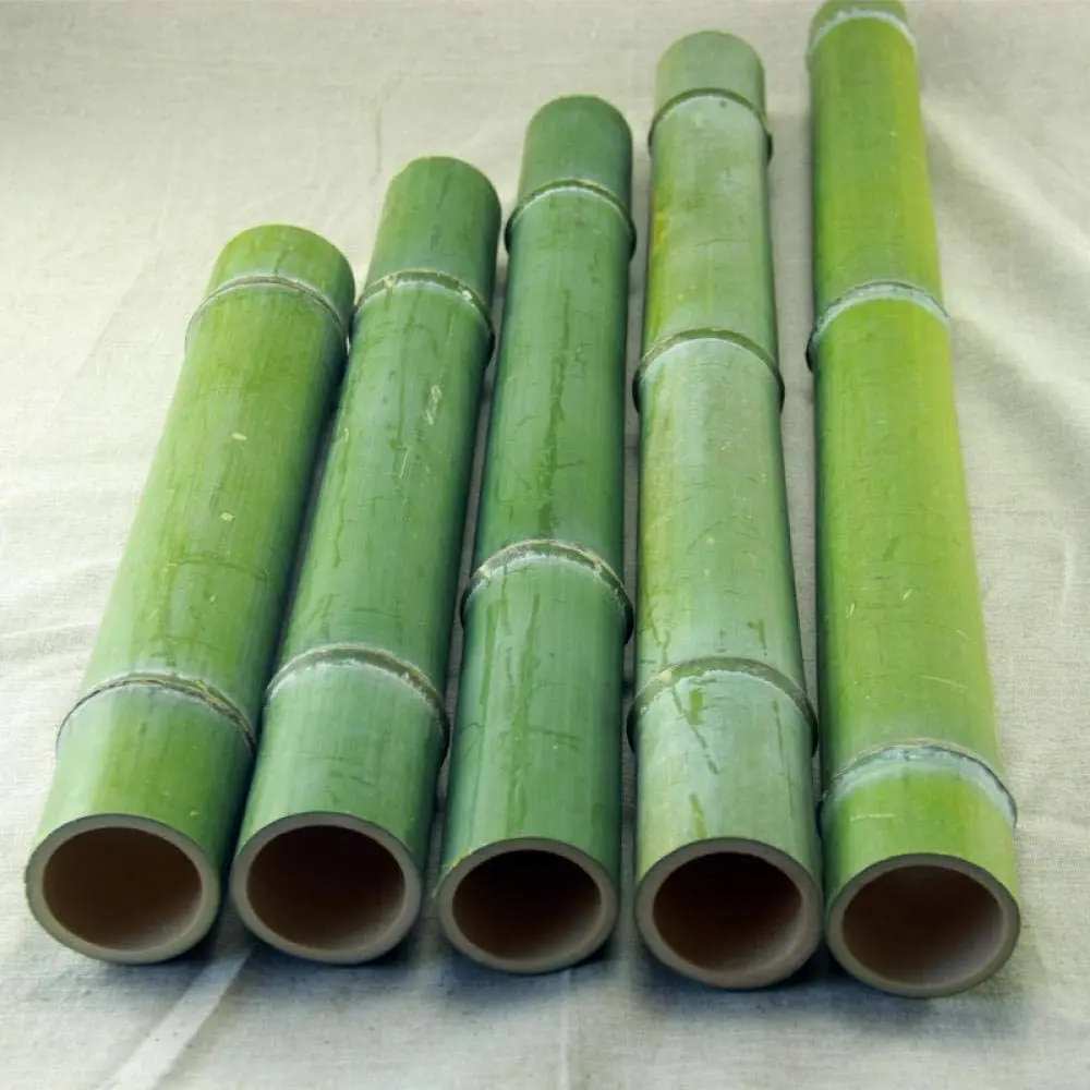 Agriculture/Bamboo Raw Materials/Bamboo pole use for tree nurseries