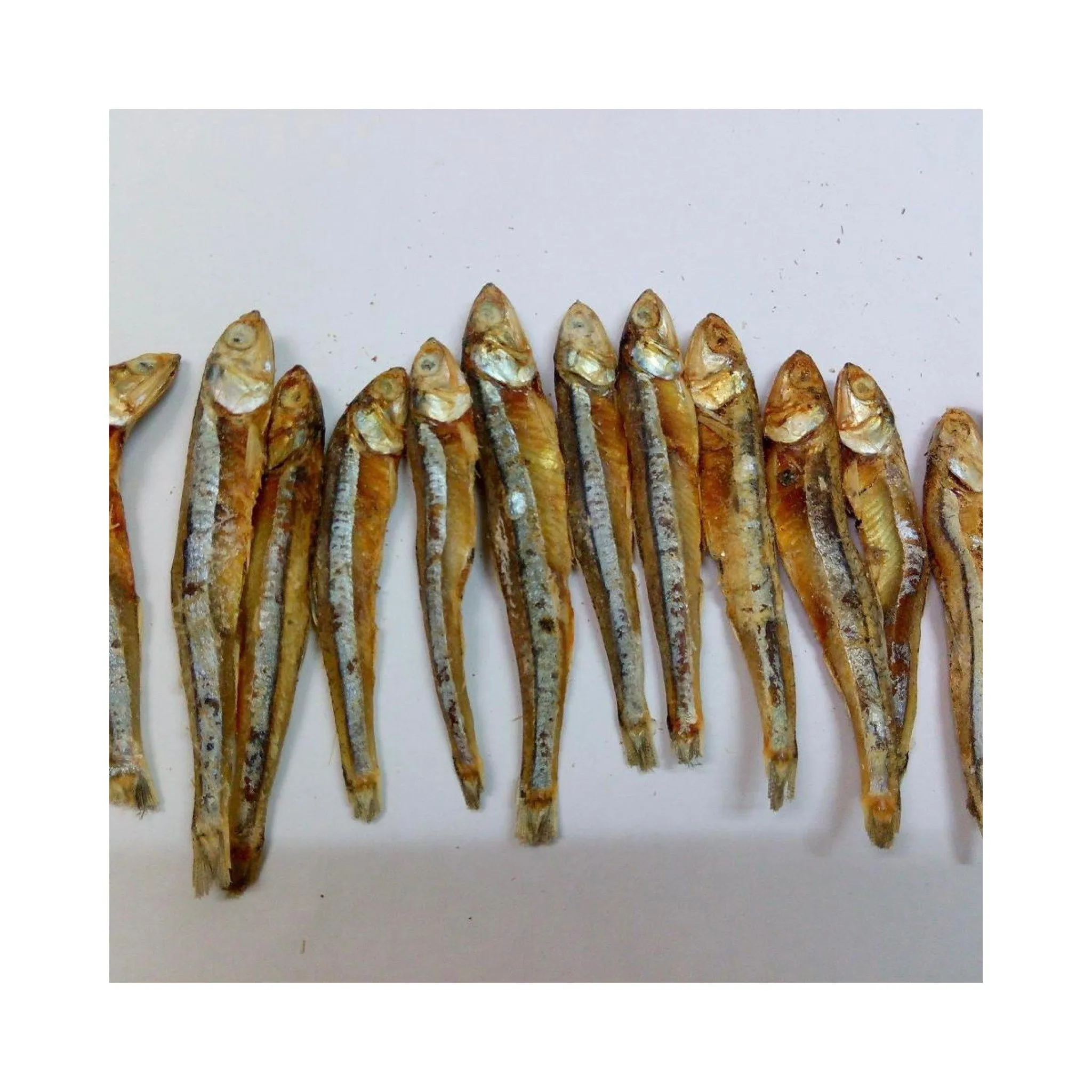 Cheap Seafood Dried Anchovy for Sale | Freshly Dried Anchovies Exporters From Vietnam Ms Elysia WA 0084789310321