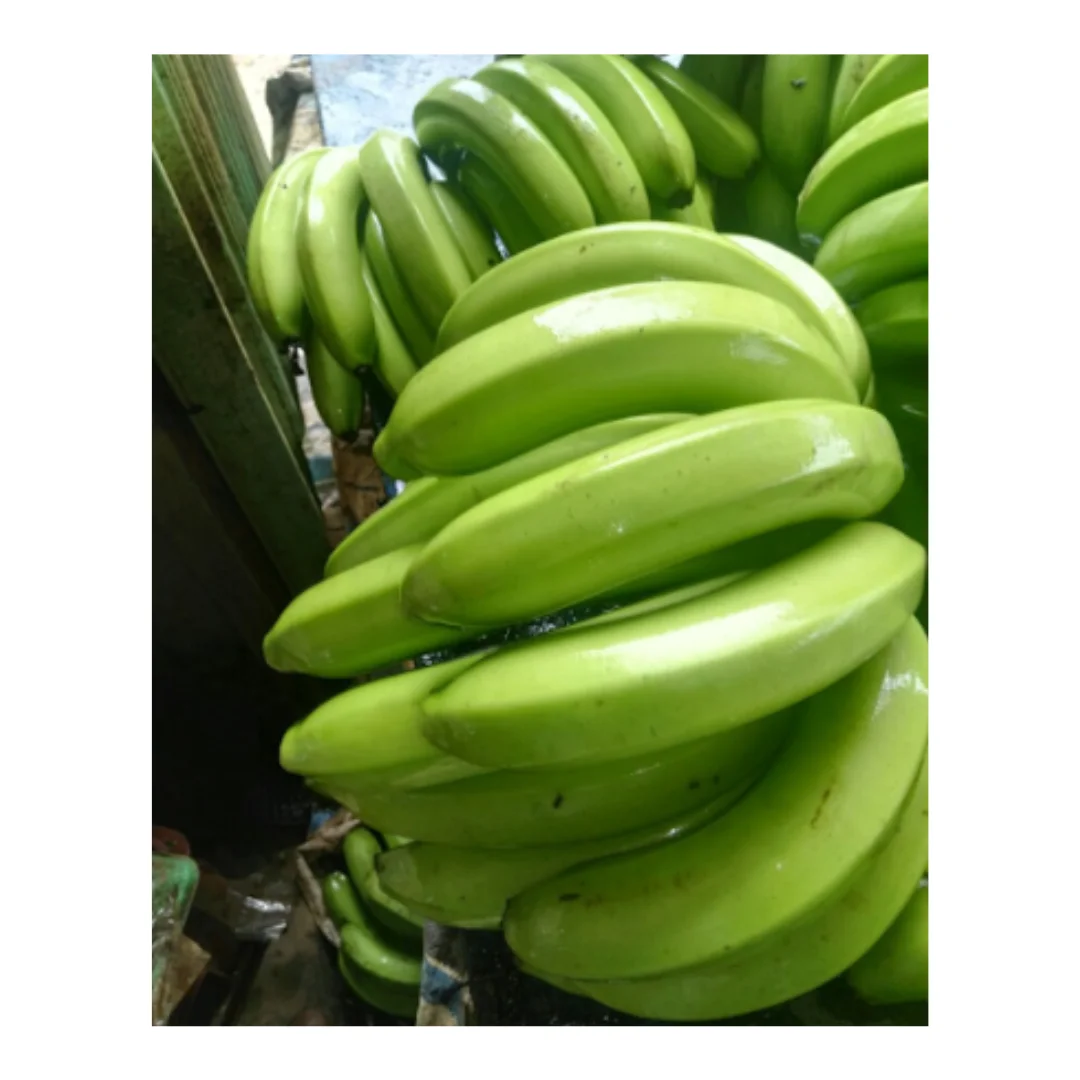 Best Price Cavendish Banana Farm-Fresh Bananas, Packed with Flavor Wholesale Bananas: Best Prices Guaranteed