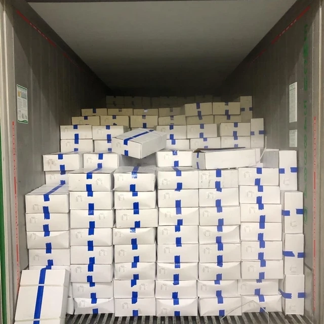 Fresh Frozen squid large pieces fresh squid from the pier before freezing Cheap price 1 Box weight 11 KG