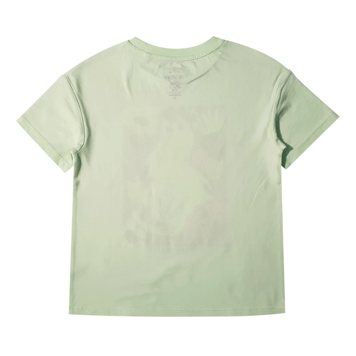 Stylish T-shirt for girls Clothes for ladies  wholesale prices 100% cotton Light green o-neck collar