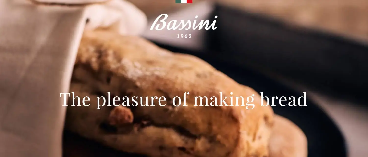 Italian crusty roll with walnuts and extra virgin olive oil for Wholesaler