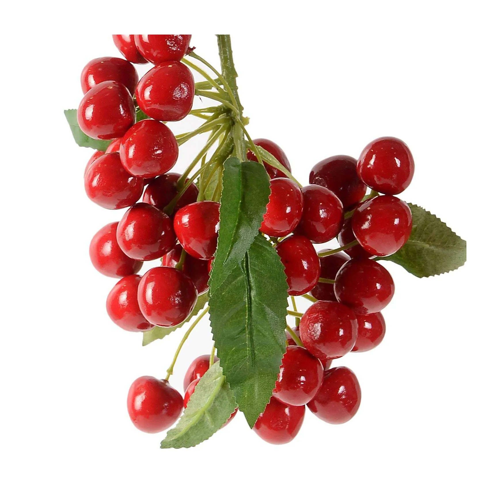 Cherries For Sale / Quality Natural Fresh Cherries