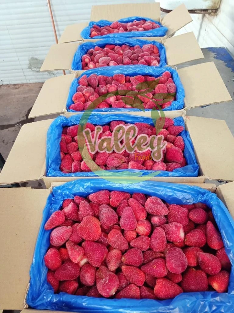 Frozen strawberry 2022 from Egypt wholesale high quality good color and excellent taste special discount for juice factories