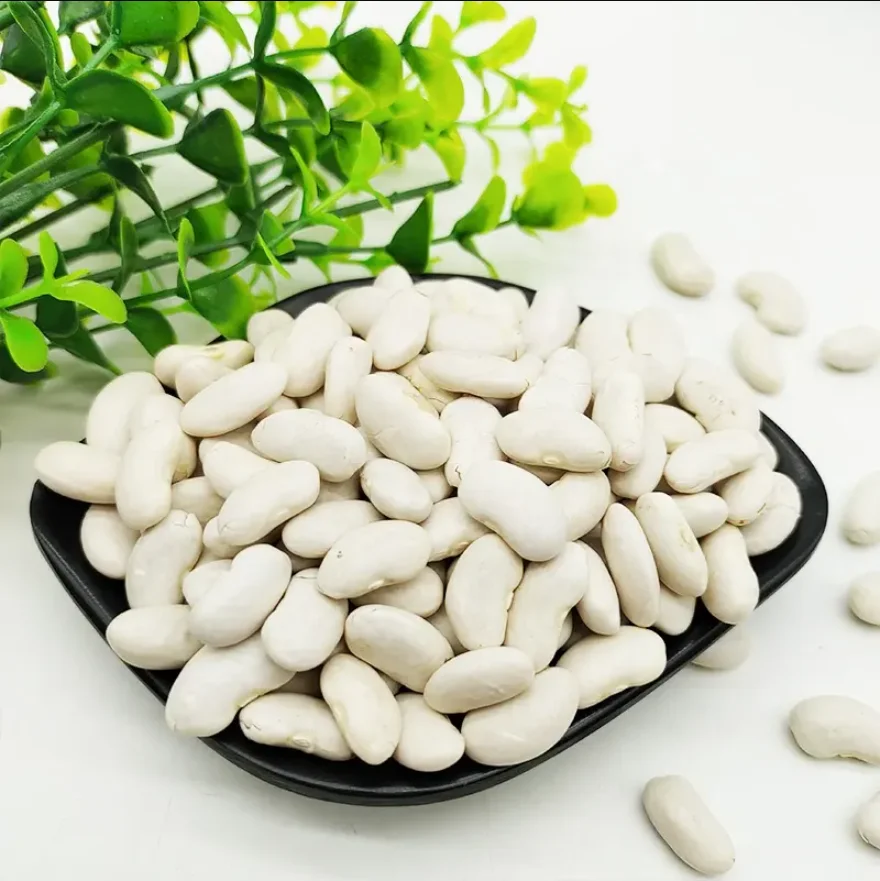 whole sale High Quality Red Kidney Beans 2023 Crops Year