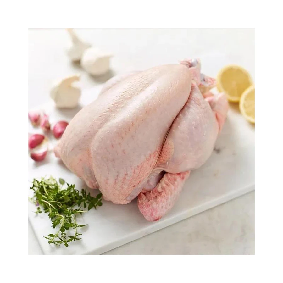 Высококачественная замороженная курица оптовая продажа дешевая цена Халяль цельная и