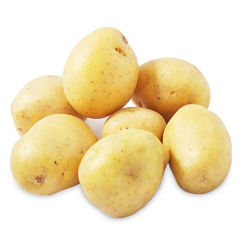 Fresh Harvested Organic  Fresh Potatoes