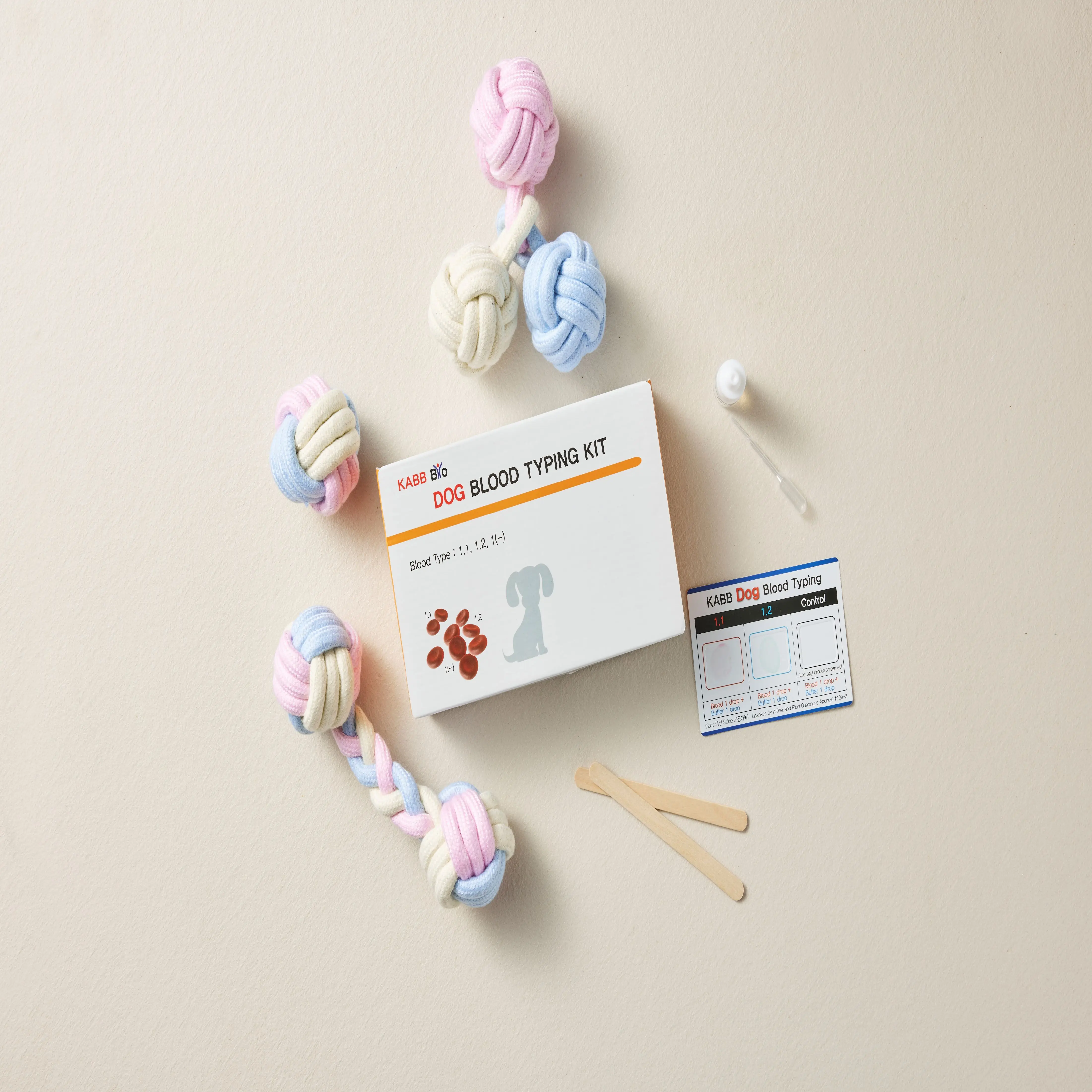 Valuable Dog Health Care Blood Typing Test Kit made in Korea 2023