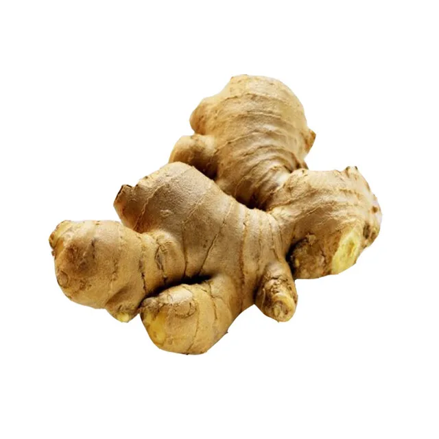 High Quality Dried Fresh Ginger Market Price Per Ton Wholesale Ginger Buyers for Export in China Ginger Yellow Top Quality