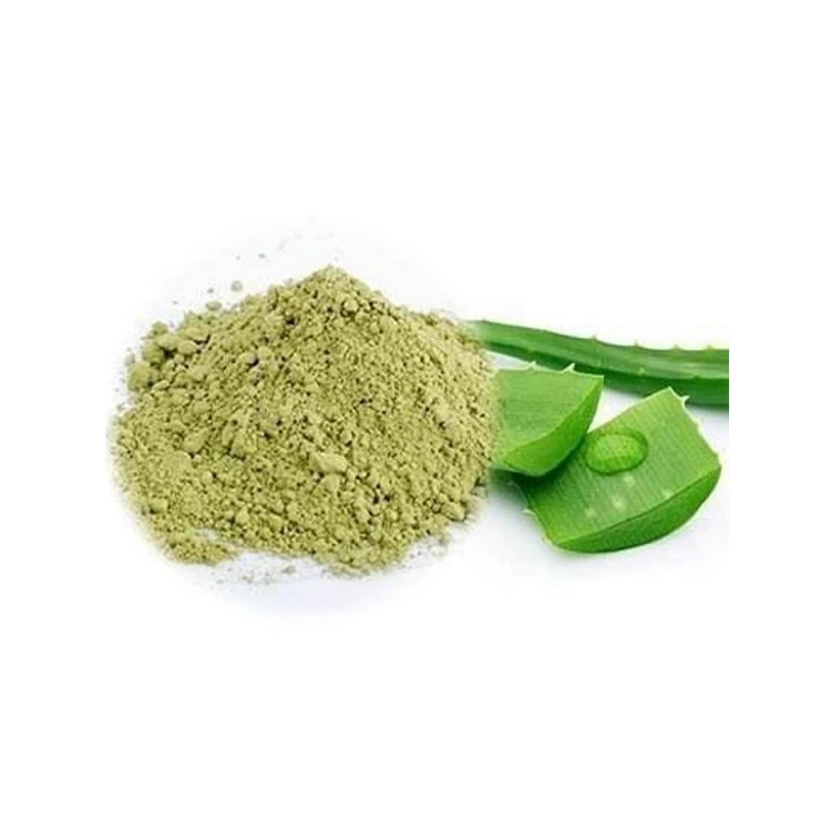 Indian Exporter of Top Quality Cosmetic Grade Wholesale Pure and Antural Aloe Vera Extract Powder at Reasonable Price