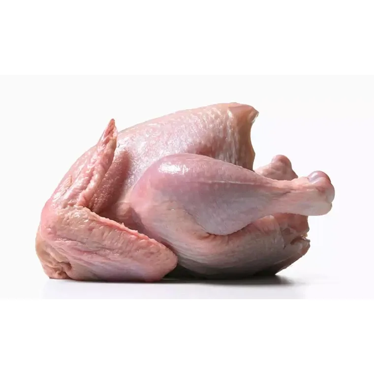 Perfect Premium Grade Halal Frozen Whole Chicken Brazilian Quality Halal Frozen Whole Chicken and Parts Halal Frozen Whole Chick
