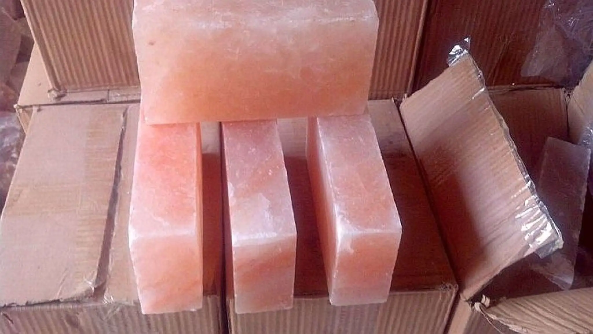 BRICKS 20X10X5CM.jpg