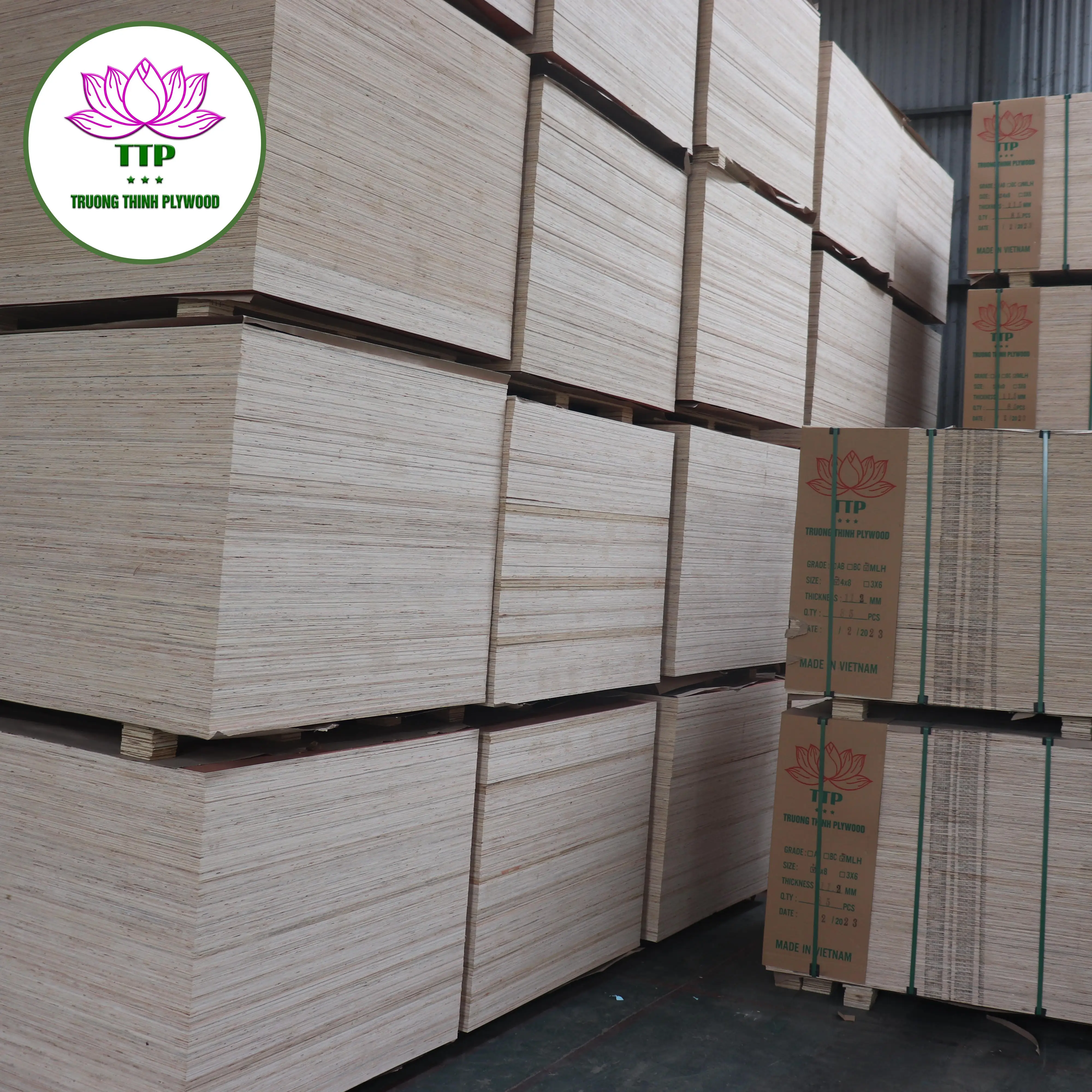 D Surprisingly cheap price for commercial plywood E2 E1 E0 6mm 9mm 12mm 15mm 18mm Acacia Styrex Eucalyptus From Vietnam