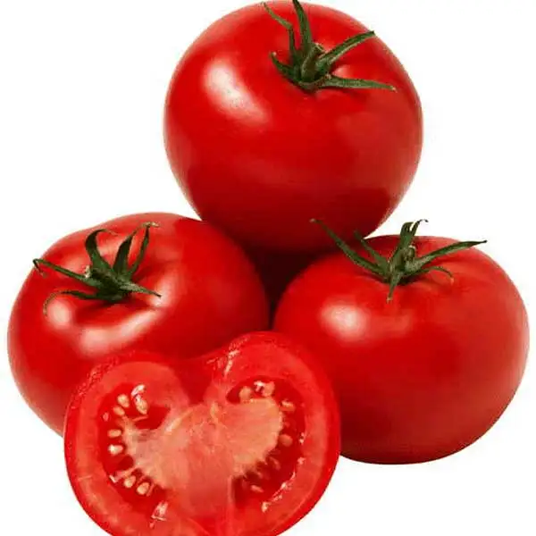 Fresh Beef Tomato, Cherry Tomato, Fresh Plum Tomatoes for Sale Hot selling Fresh Quality Tomato for Export Market