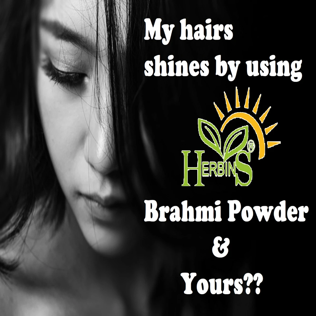 Natural Brahmi Powder from India