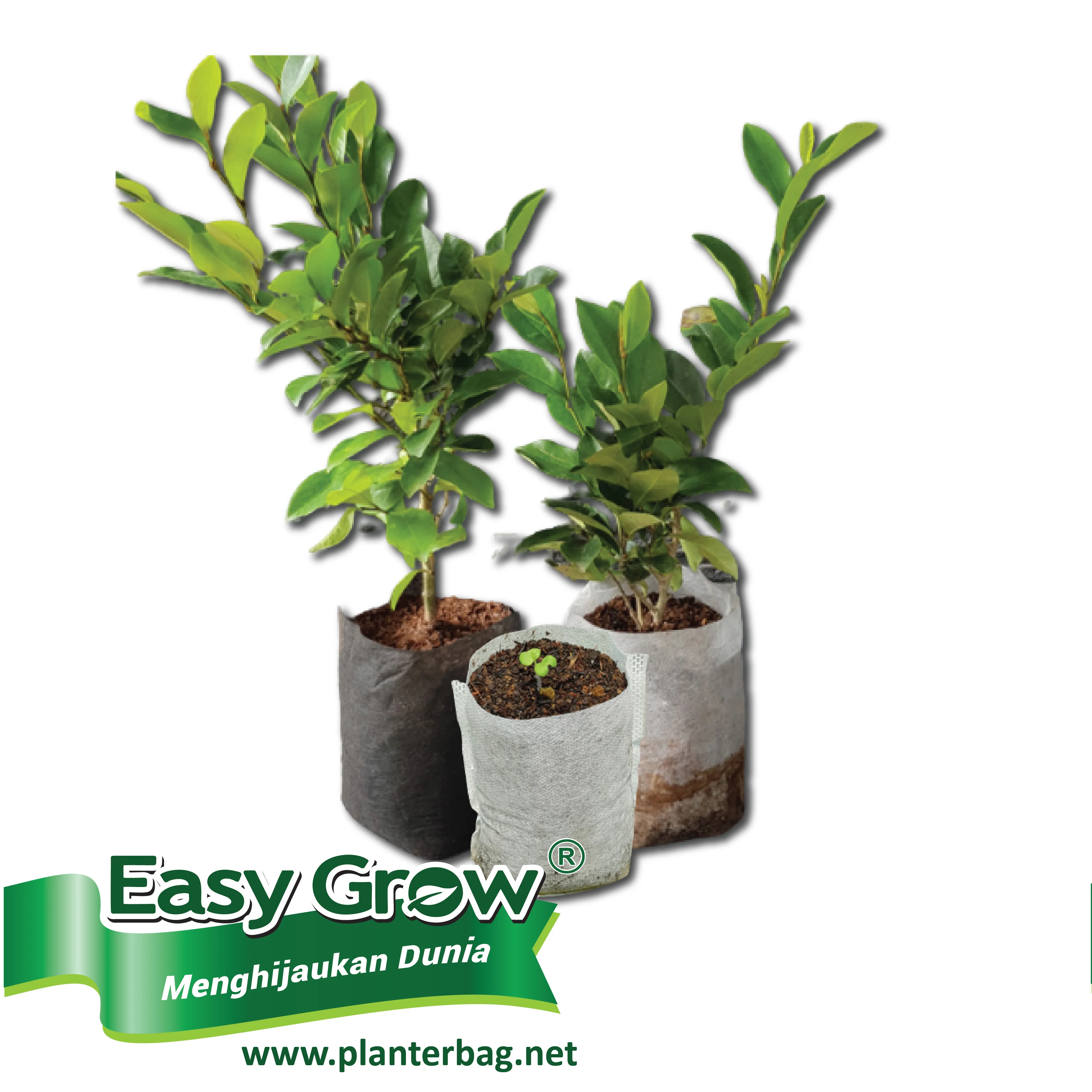 Nursery Plant Seedlings Grow Bag Non Woven Breathable Eco-friendly All Size Black White Easy To Use