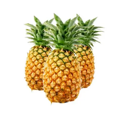 Wholesale Fresh Sweet Pineapples For Export